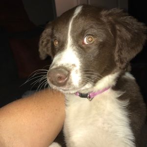 Meet your Posher, Diane